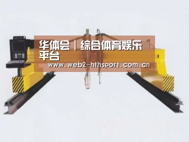 产品名称十七