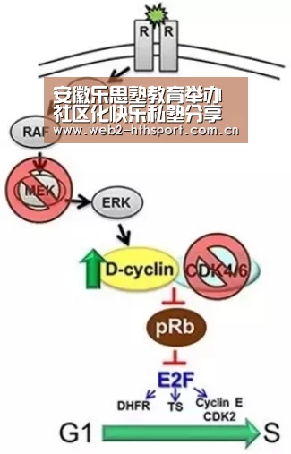 华体会体育