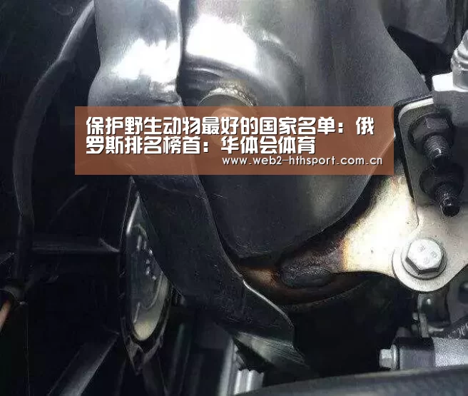 华体会体育