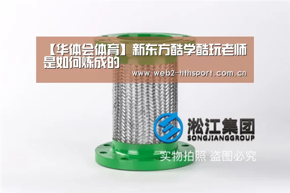 【华体会体育】新东方酷学酷玩老师是如何炼成的(图3) 华体会体育
