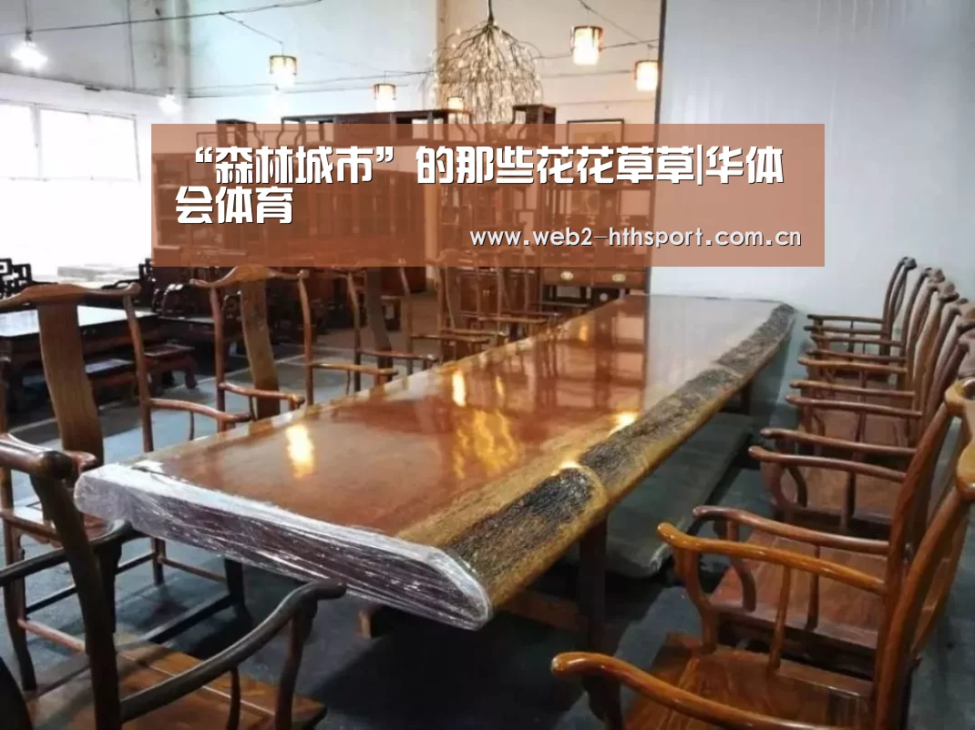 华体会体育
