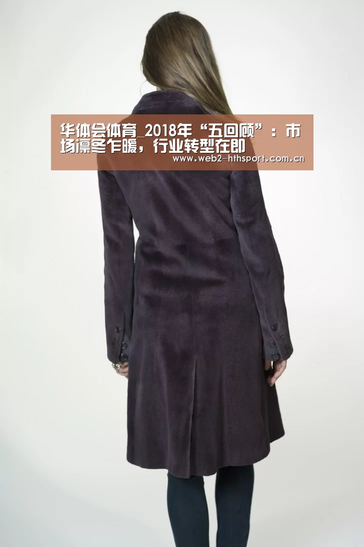 华体会体育_2018年“五回顾”:市场凛冬乍暖,行业转型在即(图2) 华体会体育