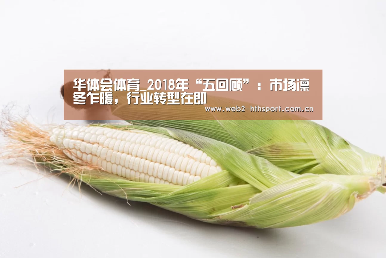 华体会体育_2018年“五回顾”:市场凛冬乍暖,行业转型在即(图3) 华体会体育