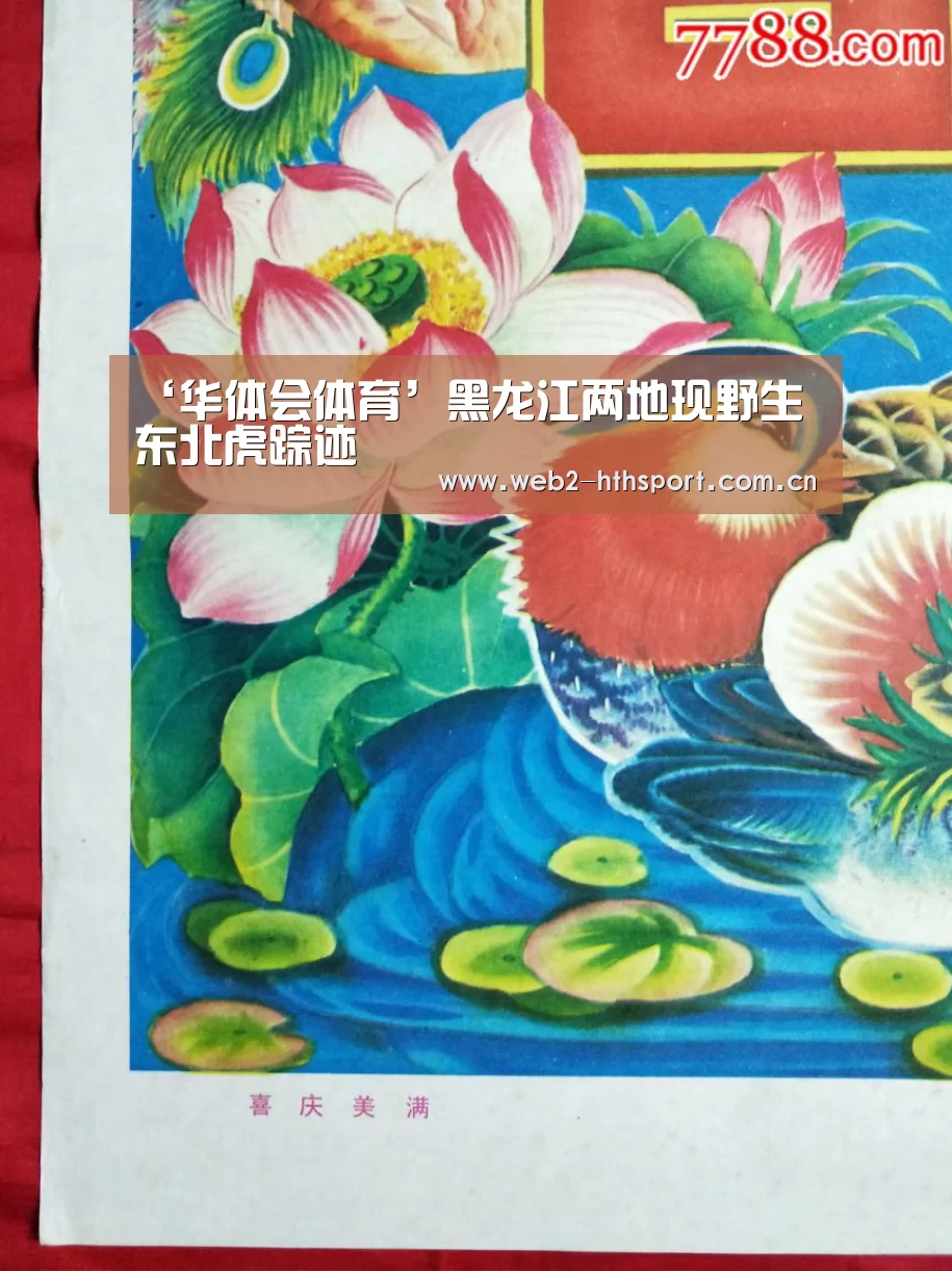 ‘华体会体育’黑龙江两地现野生东北虎踪迹