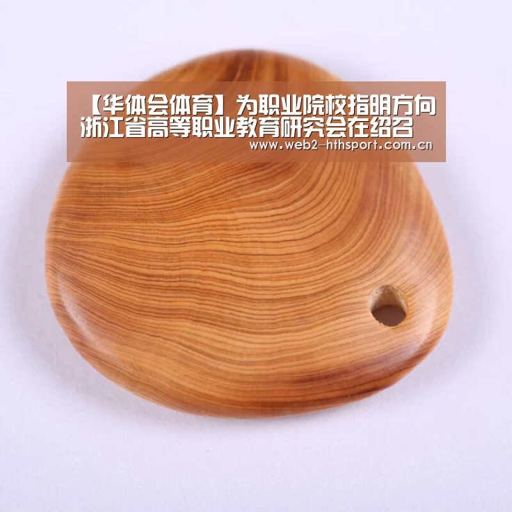 【华体会体育】为职业院校指明方向浙江省高等职业教育研究会在绍召开(图3) 华体会体育